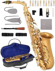 AKLOT Handcrafted E-Flat Alto Saxophone: Matte Gold Brass Body with Warm, Rich Tone, Secure Air Seal, Smooth 23-Key System, Includes Reeds Premium Leather Case & Saxophone Cleaning Kit (CH-EG)