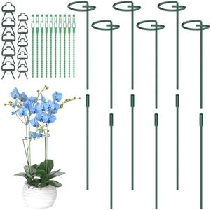6Pcs Plant