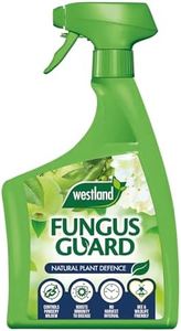 Westland F