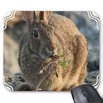 YENDOSTEEN Gaming mouse pad mousemat Lovely Rabbit Mousepad Series Rabbit Eating Mouse Pad Bunny Rabbit Mouse Pad Rectangle Mousepads