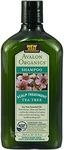 Pack of 12 x Avalon Organics Scalp Treatment Tea Tree Shampoo - 11 fl oz
