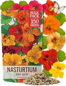 Seed Needs, 350+ Nasturtium Seeds for Planting Outdoors - Jewel Mixture (Tropaeolum nanum) Non-GMO, Easy to Grow Mix, Attracts Pollinators - Bulk