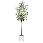 Cozy Flora Artificial Olive Tree - 