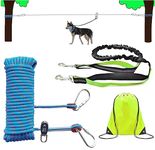 Camping Gear For Dogs