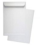 Tia Crafts Envelope 11X 5 inch White Letter Size Envelopes Best For Home Office Secure Mailing (200)