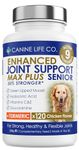 Senior MAX Plus High Strength Dog Joint Supplement With Turmeric Glucosamine & Green Lipped Mussel | For Older Stiffer Dogs Age 9+ | 120 Chewable Tablets | Made In The UK ((1 Pot (120 Tablets)))