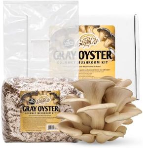 GARDEN CITY FUNGI Gourmet Mushroom Kit - Grow Bag for Mushrooms - Grow Gray Oyster Mushrooms at Home - Delicious and 100% Natural (Gray Oyster Mushroom Kit)
