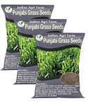 Iagrifarm Punjabi Grass Seed - 3 kg - Multicut Grass Seed/Fodder Grass for Cattle