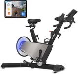 Lifespan Fitness SM-720i Magnetic Resistance Spin Exercise Bike with Incline/Decline