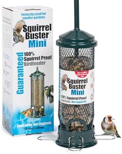 Squirrel-p