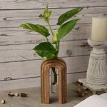 The Decor Mart Arch Step Wooden Succulent Holder with Test Tube, Planter, Indoor Planter, Wooden Craft, Plant Pots, Decor, Organic, Handmade