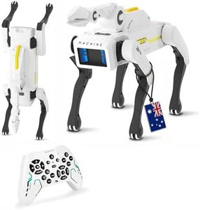 YKO Robot 