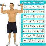 Vive Dumbbell Workout Poster - Home Gym Exercise for Upper, Lower, Full Body - Laminated Bodyweight Chart for Back, Arm, Core and Legs - Free Weight Building Guide For Men, Women, Elderly (30" x 17")