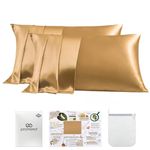 PROMEED 23 Momme Silk Toddler Pillowcase 2 Pack with Free Laundry Bag, Natural Highest Grade 6A+ 100% Mulberry Silk Pillow Case Set of 2, Zipper (Toddler/Travel 13"x18", Gold)
