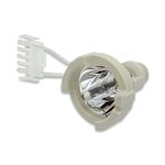 Replacement for Zeiss 304977-9038-700 Lamp Only Light Bulb by Technical Precision - 180W 14V Medical Xenon Bulb - Short-Arc Lamp with Cable - 6500K Daylight - 1 Pack