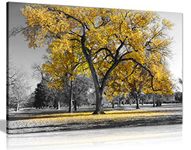 Panther Print, Large Canvas Wall Art, Beautiful Living Room and Bedroom Framed Art, Quality Picture Prints for Walls, Nature Design, Large Tree Yellow Leaves, Print for Special Occasions (30x20 Inch)