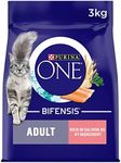 Purina ONE Adult Dry Cat Food Rich 