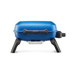 Napoleon Portable Gas Grill