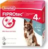 Beaphar | FIPROtec Spot-On for Medium Dogs (10– 20kg) | Kills Fleas & Ticks | Vet Strength Treatment | 4 Pipettes