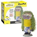 Chia Pet Kevin - Minions with Seed 