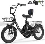 ESKUTE E Trike Electric Bike, Peak 