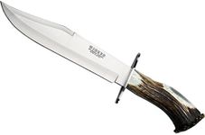 Bowie Knife Joker CN101, Deer Crown Handle, 25 cm Blade of MOVA Steel, Includes Brown Leather Sheath, Tool for Fishing, Hunting, Camping and Hiking