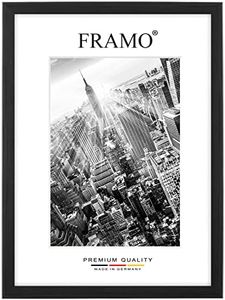 FRAMO Cadr