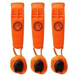 SwimCell Emergency Whistles – Waterproof Whistle For Swimming and Hiking. Extra Loud >85 dbl, 2 Tone, Pealess, Plastic Safety Marine Whistles With Lanyard And Clip. Pack of 3 Orange Survival Whistles