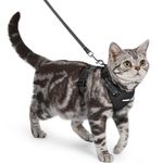 rabbitgoo Cat Harness and Lead Set, Escape Proof Kitten Harness with 3 Adjustable Buckles, Soft Comfortable Cat Vest with Leash, Easy to Wear, Reflective for Safe Outdoor Walking, Small, Black