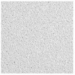 Armstrong 2x2 White Ceiling Tiles; 
