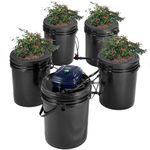 VEVOR RDWC Hydroponics Grow System, Hydroponic Growing Kit with Top Drip, Recirculating Deep Water Culture 4 Buckles and 1 Reservoir, with Air Pump and Water Level Device for Leafy Vegetables