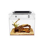 Reptile Growth Mini Reptile Terrarium,8" x 8"x 8" Reptile Tank with Full View Visually Appealing,for Insect,Fish,Tarantula,Hermit Crab,Jumping Spider,Iguana,Tortoise,Leopard Gecko,Frog,Bearded Dragon