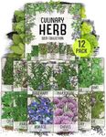 Seed Needs Herb Seeds Variety Pack Culinary Herb Collection (12 Individual Packets for Planting Indoors or Outdoors) Grow Your Own Organic Herb Garden - Heirloom, Non-GMO