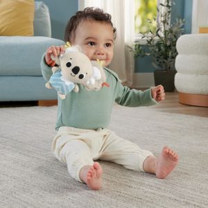 Fisher-Price Baby Playmat Gym – Soft Activity Mat for Infants