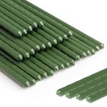 AGTEK Garden Stakes 48''/120cm Plant Sticks, 30 PCS Plastic Coated Steel 4ft Plant Stakes Support for Growing Climbing Plants, Tomato Stakes Gardening Supplies