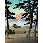 Wee Blue Coo Cultural Nature Landscape Japan Fuji Kawase Hasui Art Print Poster Wall Decor 12X16 Inch