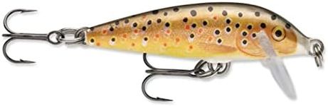 Countdown 05 Brown Trout