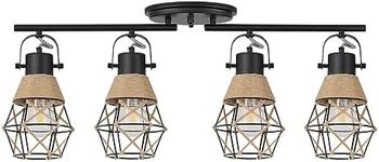 Farmhouse Track Lighting Kit, Direc