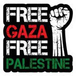 Free Palestine Stickers Pack - Free Gaza, Flag Sticker Vinyl Car Decals Waterproof, for Laptop, Water Bottle Support Palestinian Stickers for Adults, Children Palestine Free StickerSize A4