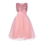 HENG&LING Sequin Flower Girls Dress Ball Gown Wedding Party Dress Sleeveless Little Girls Evening Formal Pegeant Pink 100