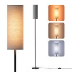 Floor Lamp For Classroom