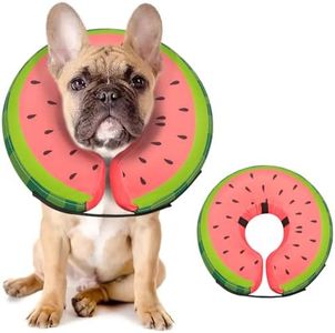 Dog Cone C