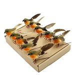 Yolococa 10PCS Robin Bird Christmas Tree Decoration Craft Very Cute Artificial Feather