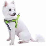 Blueberry Pet Soft & Comfy New 3M Reflective Step-in Pastel Color Padded Dog Harness, Chest Girth 15.5" - 19.5", Baby Green, XS/S, Adjustable Harnesses for Dogs