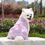 KUTKUT Dress for Small Dog Girl Puppy Clothes Female Princess Tutu Striped Skirt Summer Shirt for Shihtzu, Cavalier King, Cat Pet Apparel Outfits ,Pink (Size: 2XL, Chest: 55cm, Length: 45cm)