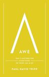 Awe: Why It Matters for Everything We Think, Say, and Do