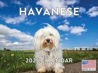 Havanese Dog Calendar 2025 Dog Gift