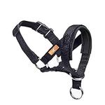 wintchuk Dog Head Collar, Fabric Pa