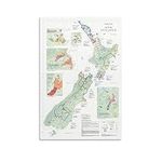 Wine Map of New Zealand Wine Map, M