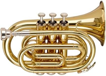 Stagg WS-T